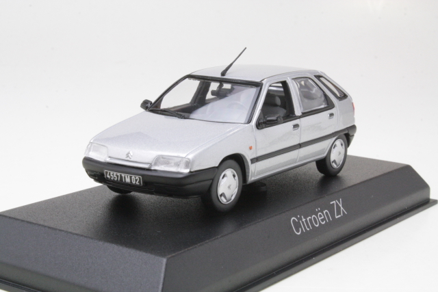 Citroen ZX 1991, hopea