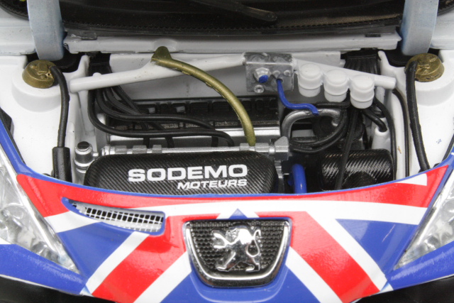 Peugeot 207 S2000, San Remo 2009, K.Meeke, no.6