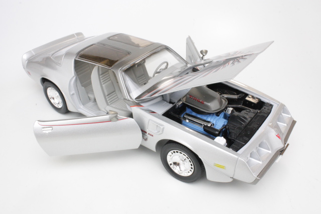 Pontiac Firebird Trans Am 1979, hopea