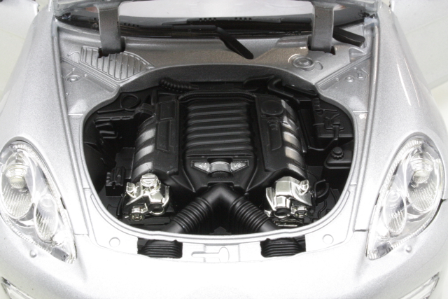 Porsche Panamera 2013, hopea