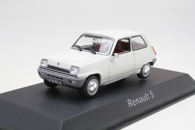 Renault 5 TL 1976, valkoinen