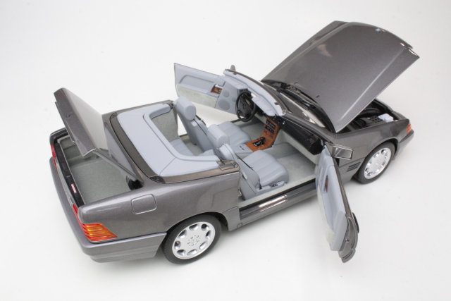 Mercedes 500 SL (R129) 1989, grey