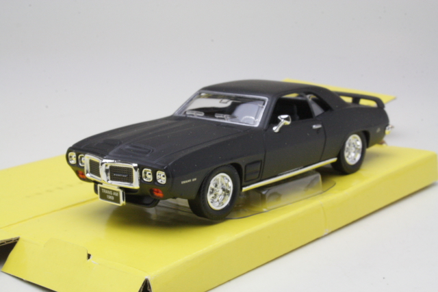 Pontiac Firebird Trans Am 1969, mattamusta