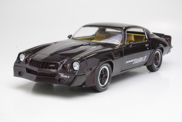 Chevrolet Camaro Z28 Yenko Turbo Z Coupe 1981, brown
