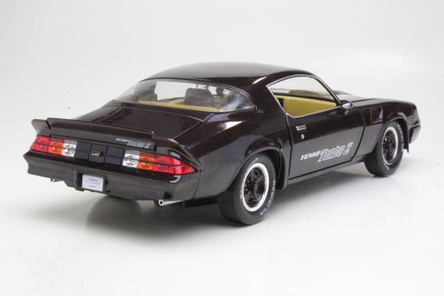 Chevrolet Camaro Z28 Yenko Turbo Z Coupe 1981, brown
