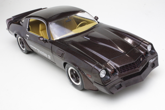 Chevrolet Camaro Z28 Yenko Turbo Z Coupe 1981, brown