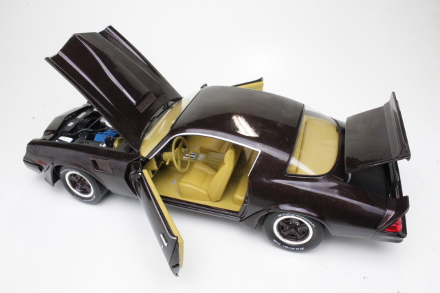 Chevrolet Camaro Z28 Yenko Turbo Z Coupe 1981, brown