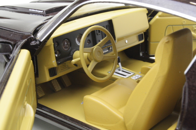 Chevrolet Camaro Z28 Yenko Turbo Z Coupe 1981, brown