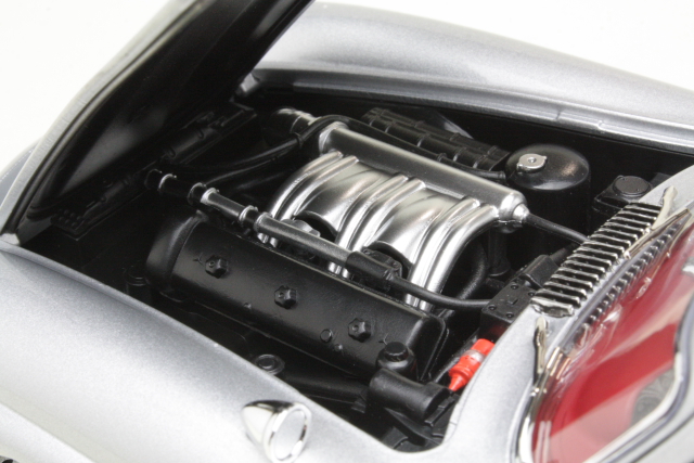 Mercedes 300SL 1954, hopea