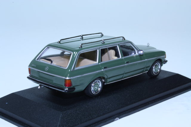 Mercedes 250T (s123) 1980, green
