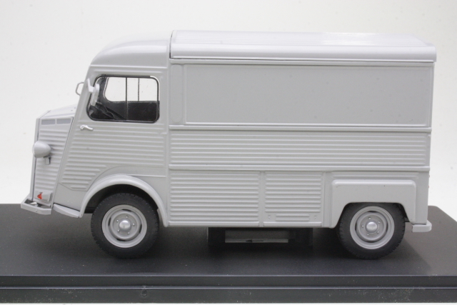 Citroen Type-H 1969, hopea