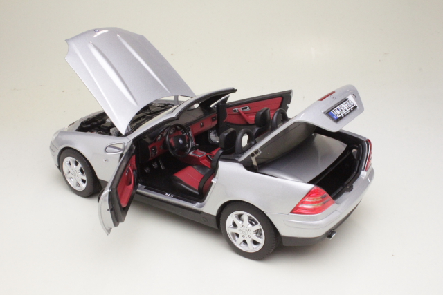 Mercedes SLK 1996, hopea