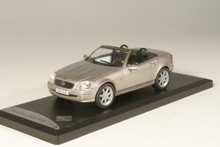 Mercedes SLK (R170) 2003, hopea