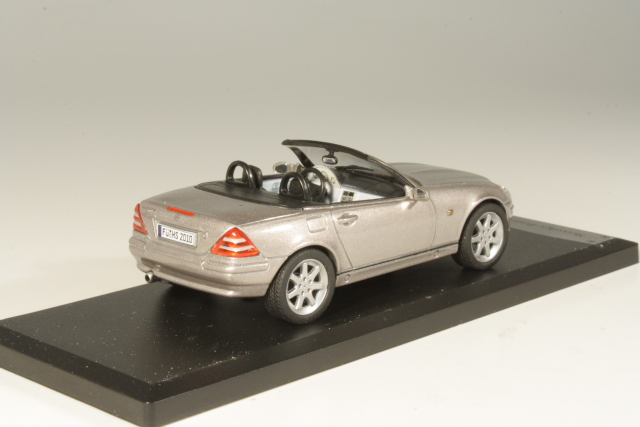 Mercedes SLK (R170) 2003, hopea