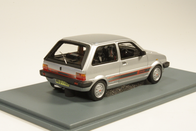 MG Metro 1982, hopea