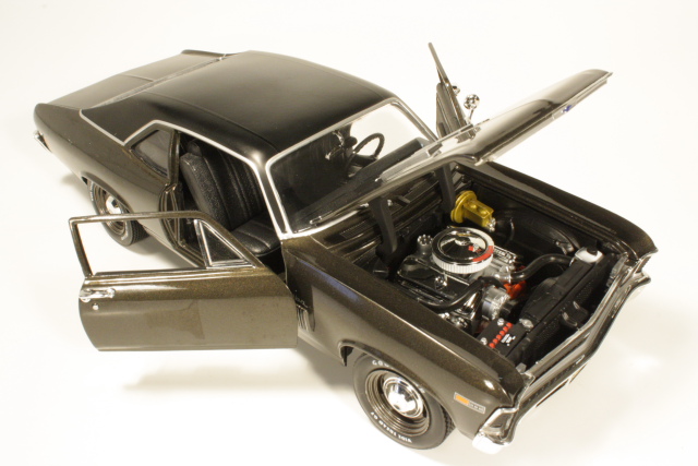 Chevrolet Nova SS Coupe 396 1969, ruskea