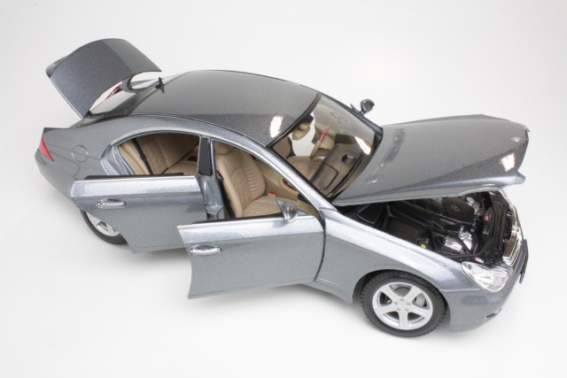 Mercedes CLS 2004, grey
