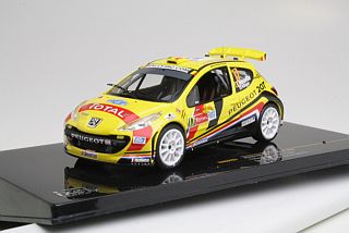 Peugeot 207 S2000, Ypres 2010, T.Neuville, no.17